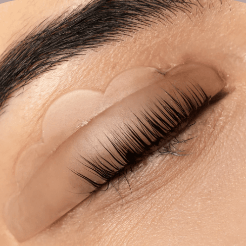 3x Lash Lift + Tint at Stony Point Spa in Watertown, SD